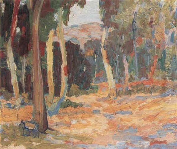 A Path To Hills Under The Trees - view 1