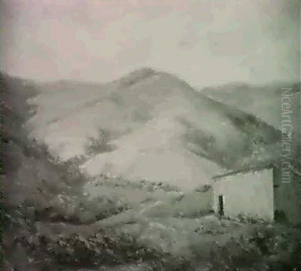 Deserted Barn, Pink Hill - view 1