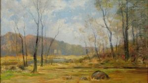 Clearing In The Woods
