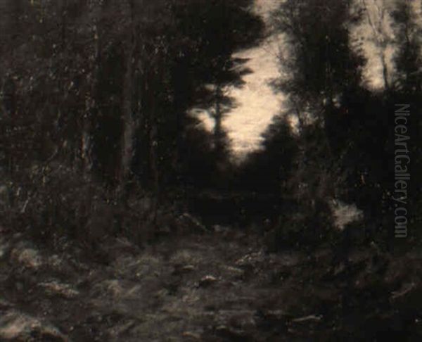 Sunset Through The Trees - view 1