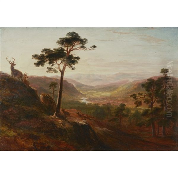 Glen Farquhar - view 1