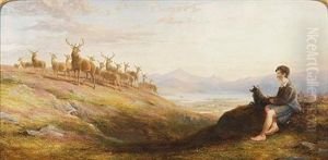 Red Deer Feeding Up-hill In The Morning (the Corrie Buie Of Ben-a-bourd, In The Distance-invercauld Forest)