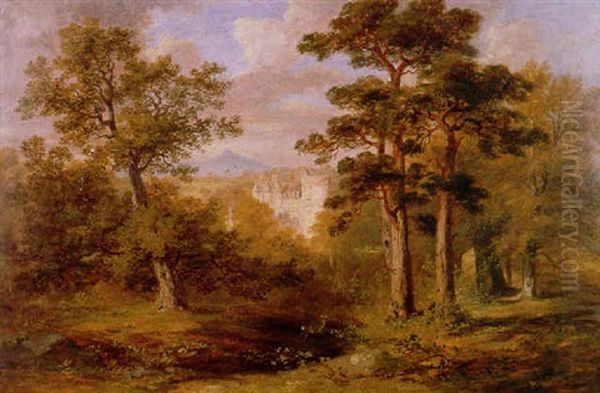 Trees At Castle Fraser, Aberdeenshire - view 1