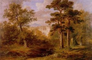 Trees At Castle Fraser, Aberdeenshire