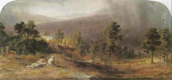 Stalking In The Highlands - view 1