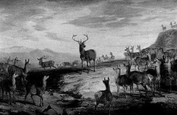 Deer In The Highlands - view 1