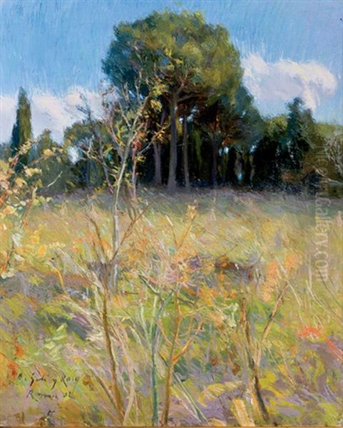 Paisaje - view 1
