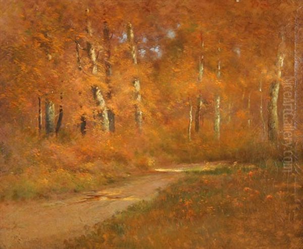 Road Through A Forest, Autumn - view 1