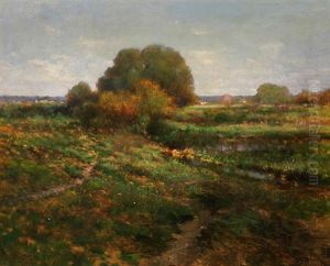 Maryland Landscape