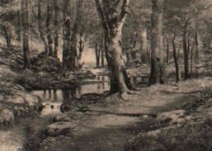 Autumn, Rock Creek by Delancey W. Gill