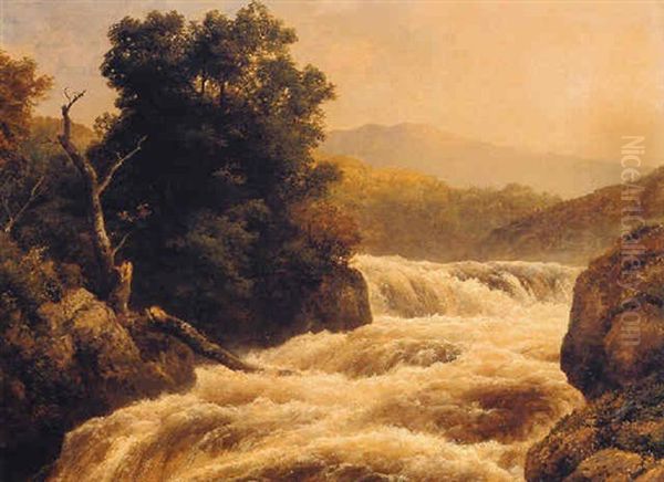 Woody Seenery With Waterfall - view 1