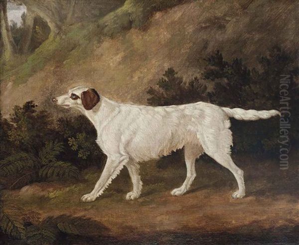 Thorn, The Celebrated Setter - view 1