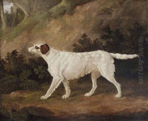 Thorn, The Celebrated Setter