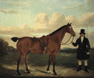 A Gentleman Holding His Hunter In A Landscape A Gentleman Holding His Hunter In A Landscape