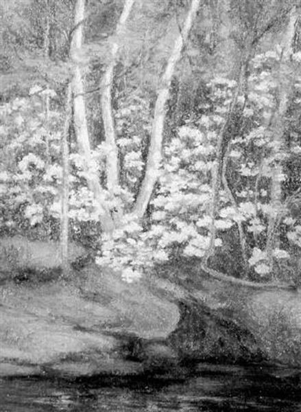 The Riverbank In Bloom - view 1
