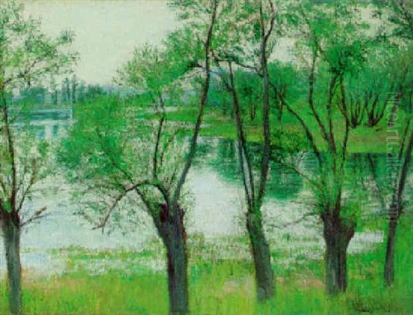 Trees Before A Pond - view 1
