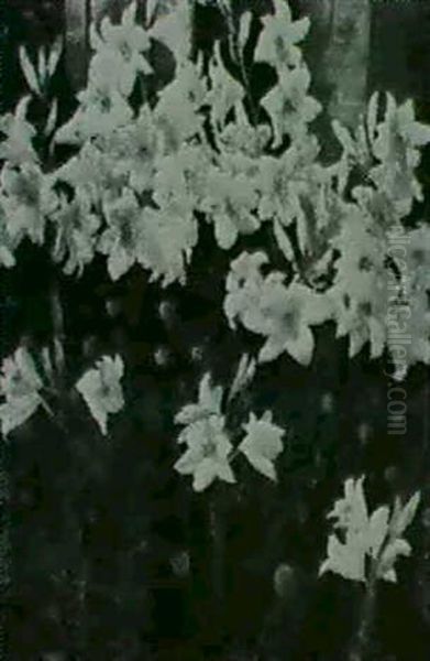 White Lillies - view 1