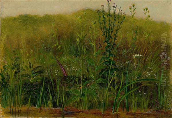 Plants At The Water's Edge - view 1
