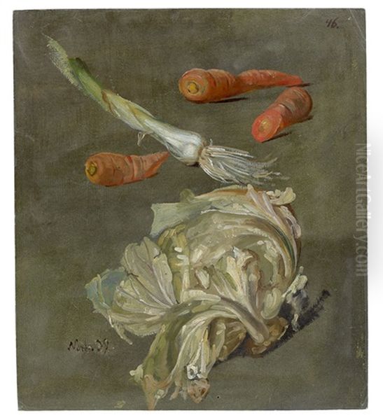 Study Of Various Vegetables (carrots, Leek And Cabbage) - view 1