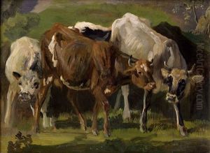 Studie Mit Zwei Rindern Und Einem Kalb