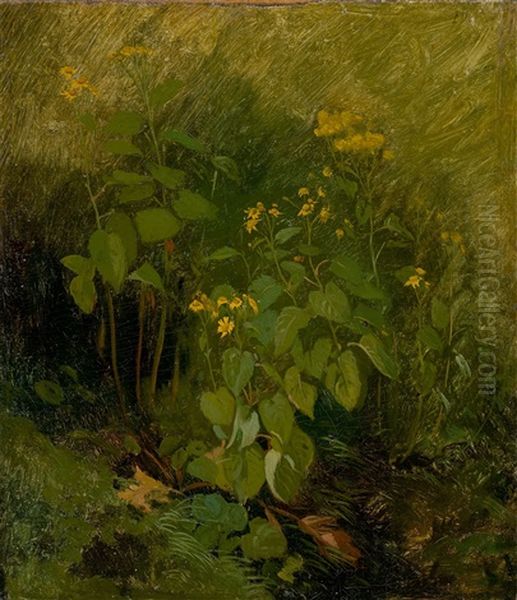 Yellow Flowers On Green Ground - view 1