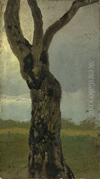 Tree Study - view 1