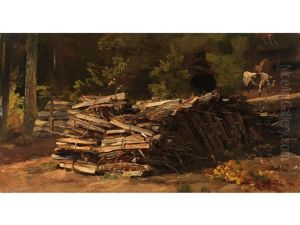 Holzstoss Am Waldesrand Holzstoss Am Waldesrand