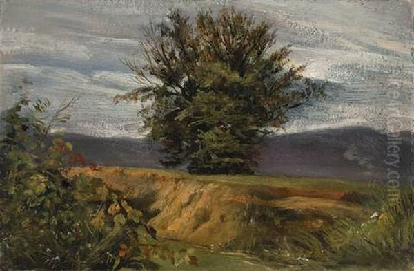 Baum Am Abhang - view 1
