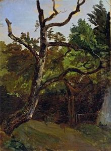 Tree (study) by Christian Friedrich Gille