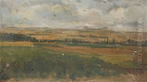 Weite Sachsische Landschaft
