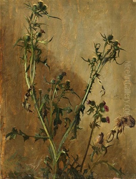 Distel (study) - view 1