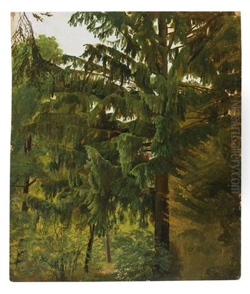 Baum (study) - view 1