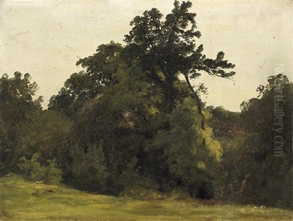 Waldlandschaft. Studie - view 1