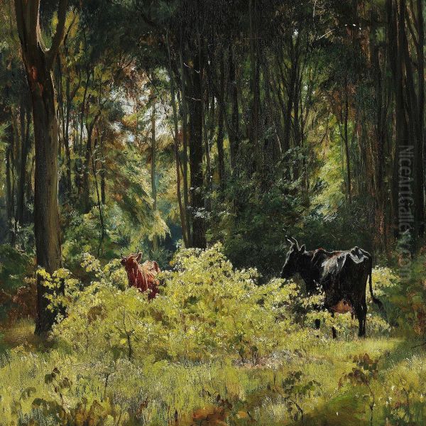 Cattle In A Clearing In The Woods - view 1