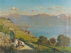Blick Auf St-saphorin Und Den Genfersee Blick Auf St-saphorin Und Den Genfersee