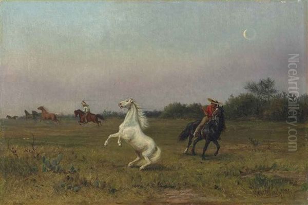 Gauchos Rounding Up Wild Horses In The Mexican Savannah At Dusk - view 1