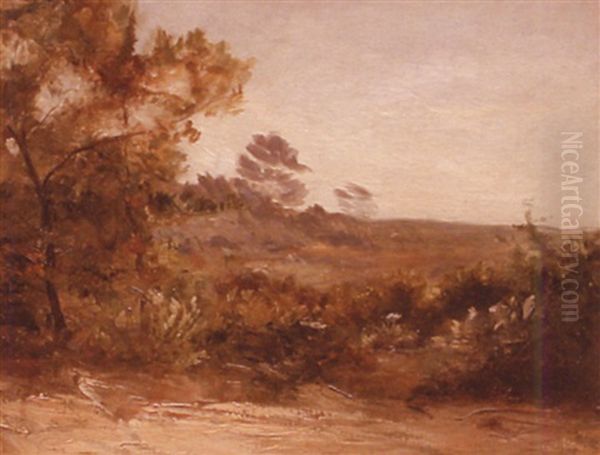 Tranquil Landscape - view 1