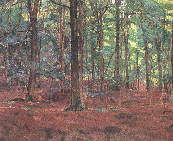 A Beechwood - view 1