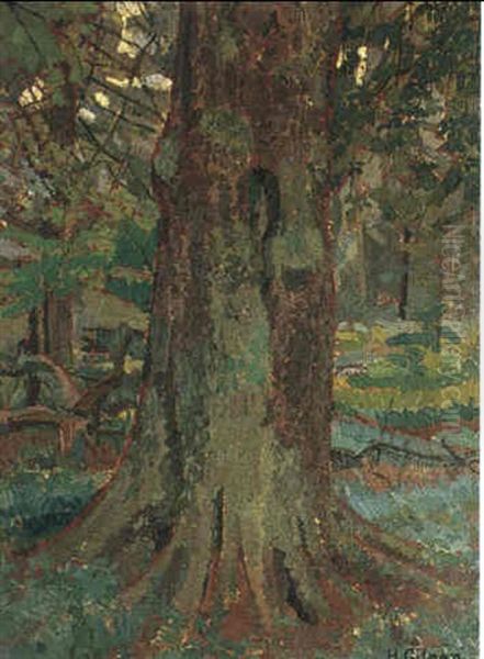 Beech Woods - view 1