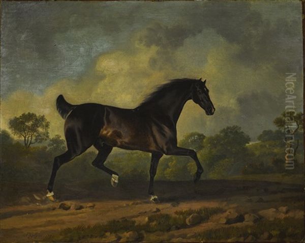 Horse Trotting - view 1