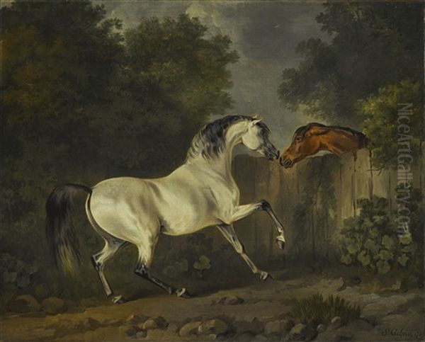 Two Horses By A Fence - view 1