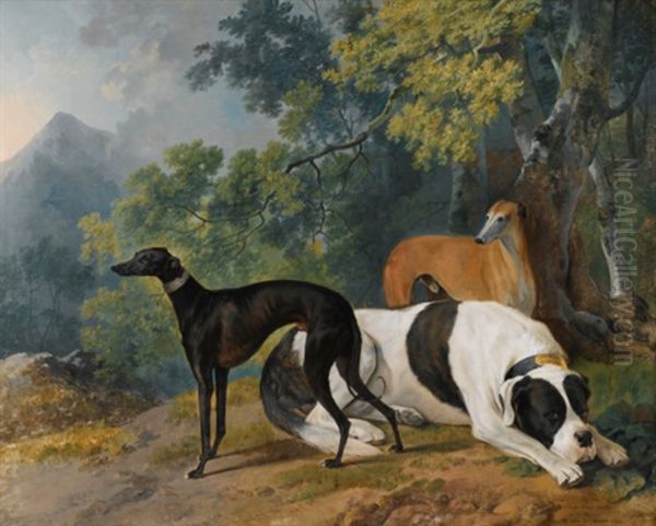 Two Greyhounds And A Mastif Belonging To The Duke Of Hamilton - view 1