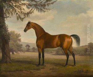 A Chestnut Arab Stallion In A Landscape