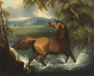 Pferd Passiert Eine Furt Bei Aufziehendem Gewitter
