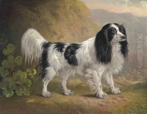 A Black And White English Springer Spaniel In A Landscape A Black And White English Springer Spaniel In A Landscape