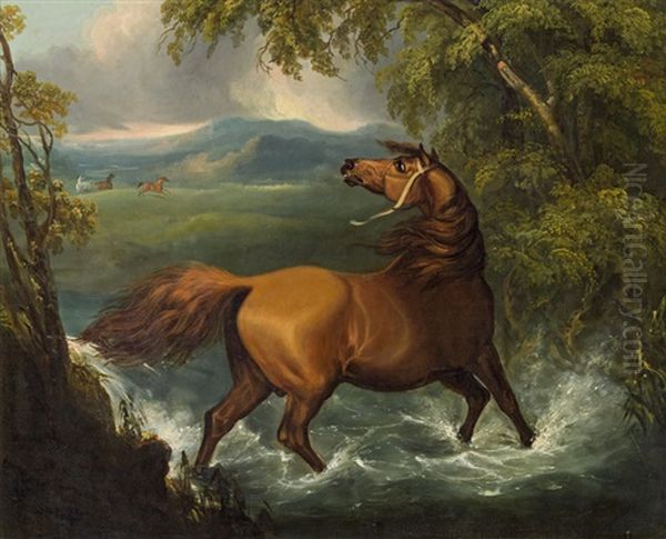 Brown Horse At A River - view 1