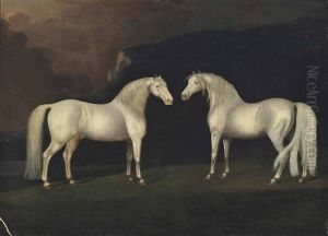 Grey Stallions In A Landscape Grey Stallions In A Landscape