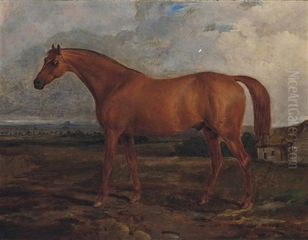Lord Grosvenor's Chestnut Colt Meteor - view 1