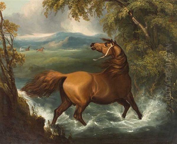 Brauner Beim Durchqueren Einer Furt In Gewittriger Landschaft. Bewegte Szene - view 1