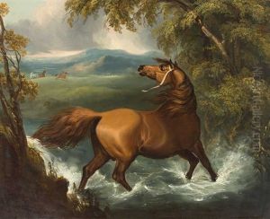 Brauner Beim Durchqueren Einer Furt In Gewittriger Landschaft. Bewegte Szene